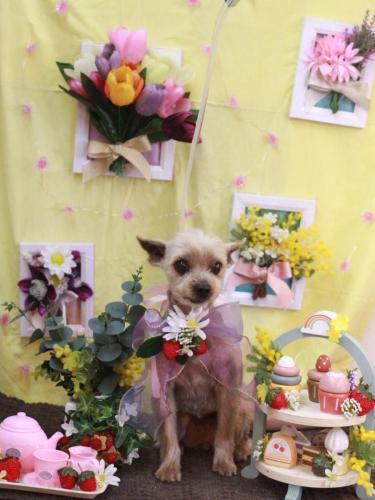 20230310ふみちゃん